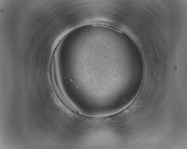 X0000068850960200605081211