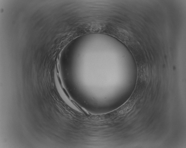 X0000068850962200605081211