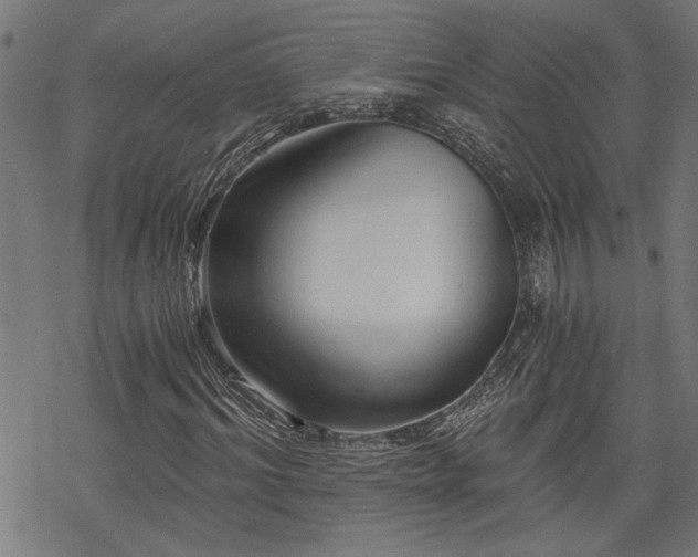 X0000068850964200605081210