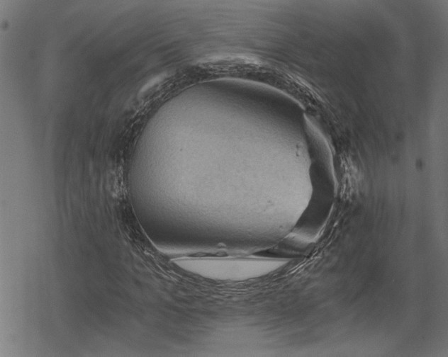 X0000068850965200605081210