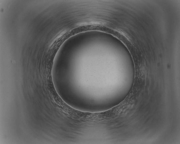 X0000068850967200605081210