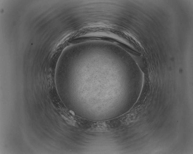 X0000068850968200605081210