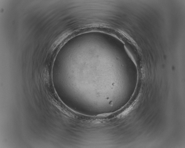 X0000068850969200605081210