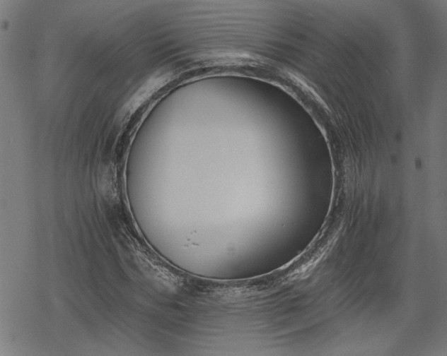 X0000068850970200605081210