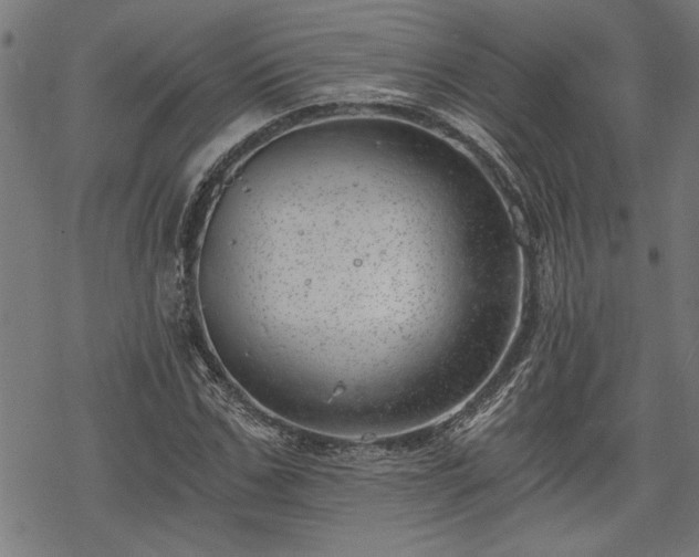 X0000068850971200605081210