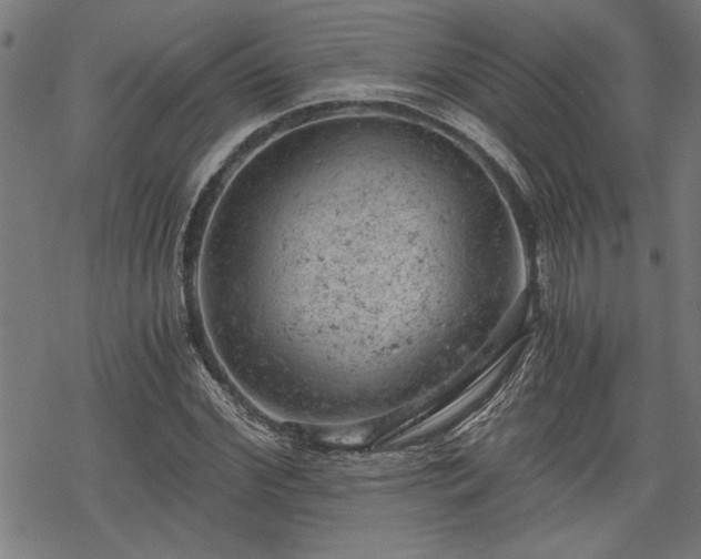 X0000068850972200605081210