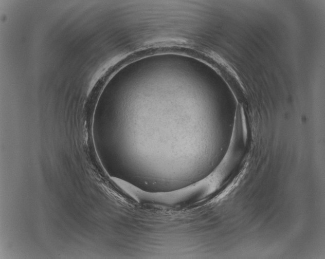 X0000068850973200605081210