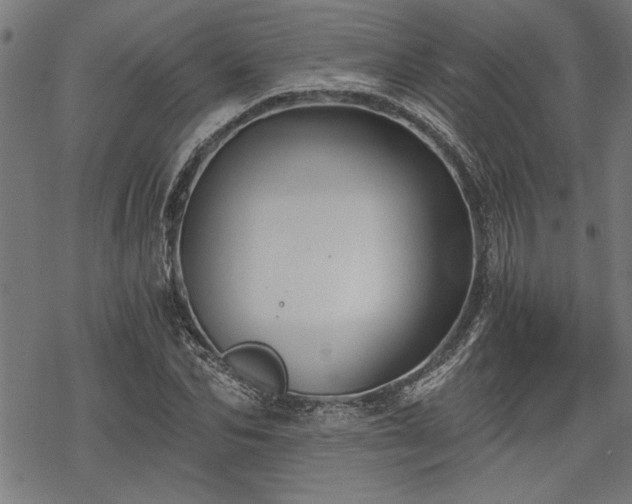 X0000068850974200605081210