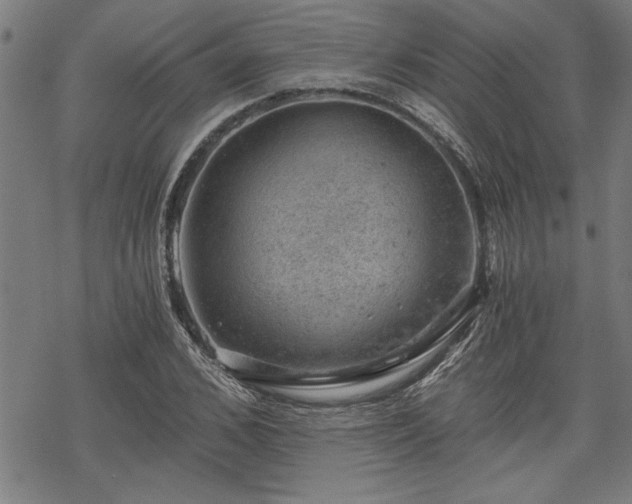 X0000068850976200605081210