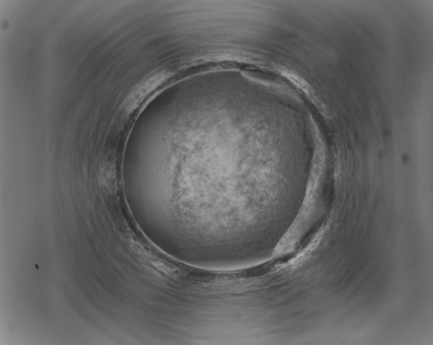 X0000068850977200605081210