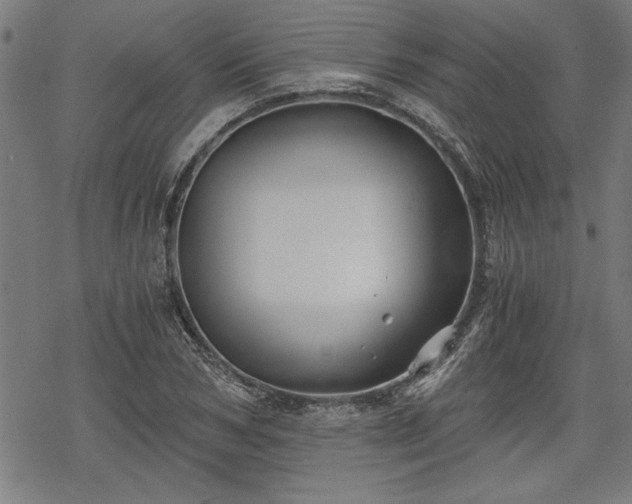 X0000068850978200605081210