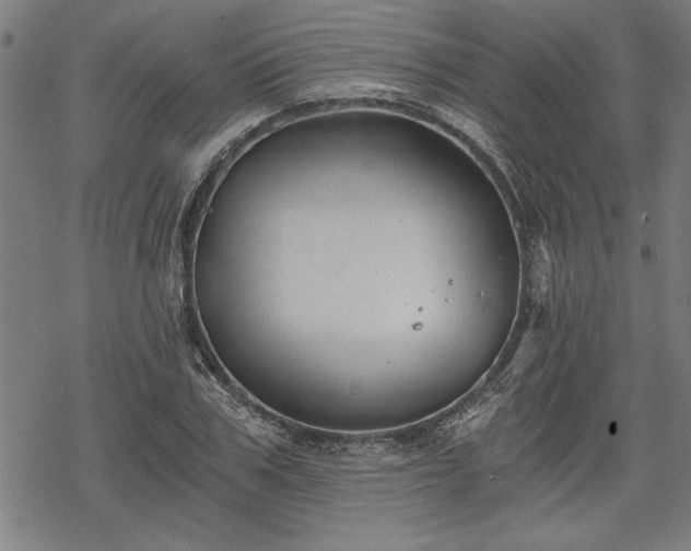 X0000068850979200605081210