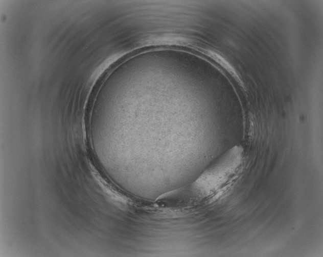 X0000068850980200605081210