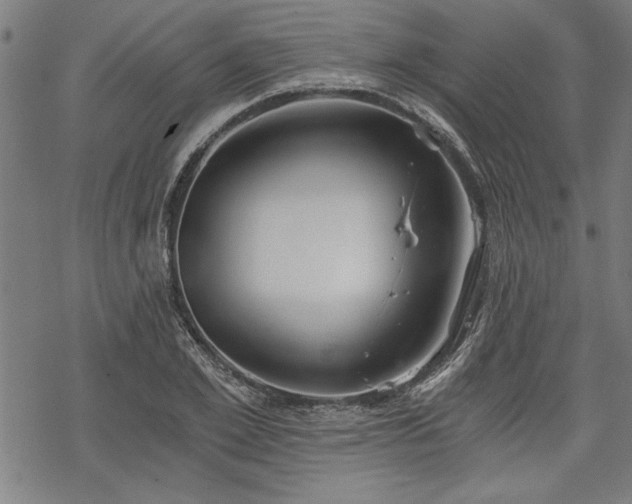 X0000068850981200605081210