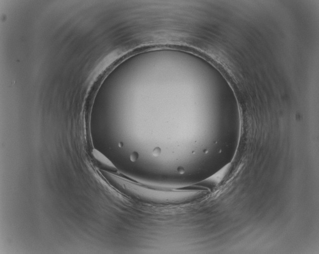 X0000068850982200605081210