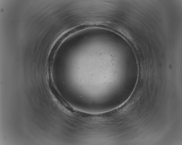 X0000068850984200605081210