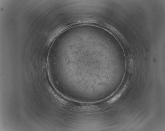 X0000068850985200605081210