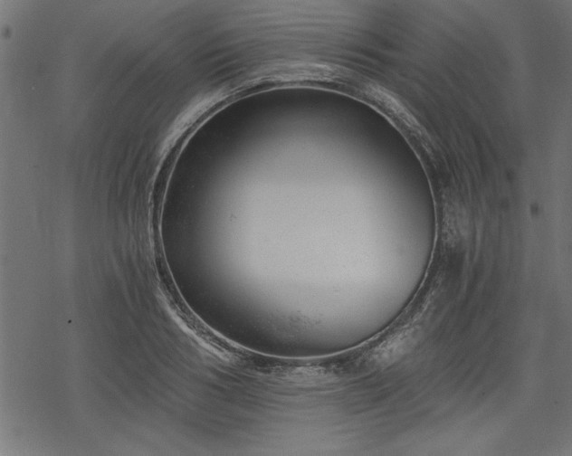 X0000068850986200605081210