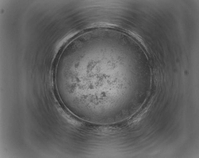 X0000068850987200605081210