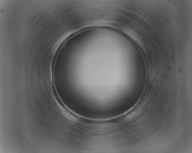 X0000068850988200605081210