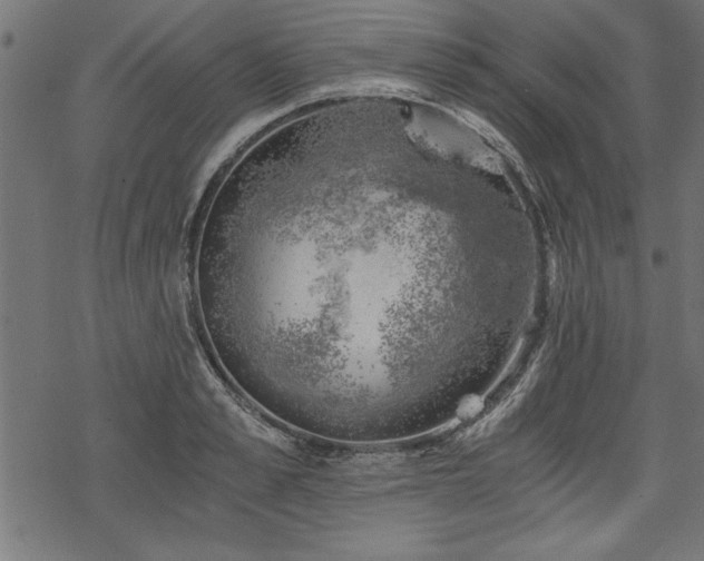 X0000068850989200605081210