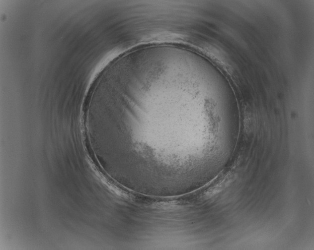 X0000068850990200605081210