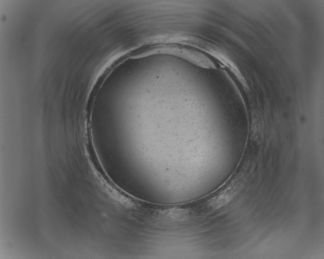 X0000068850992200605081210