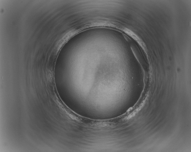 X0000068850993200605081210