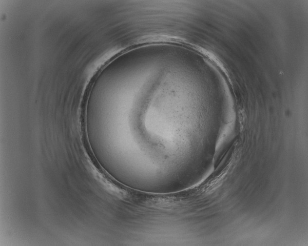 X0000068850995200605081210