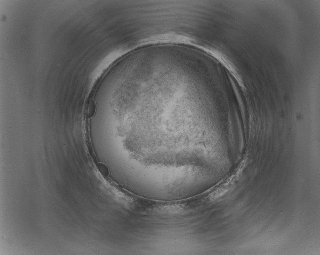 X0000068850998200605081210