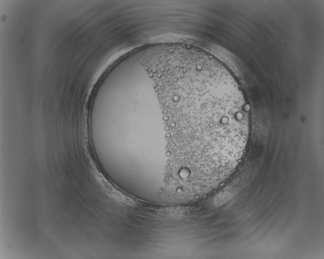 X0000068851000200605081210