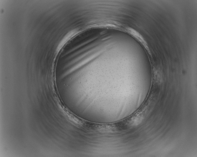 X0000068851002200605081210