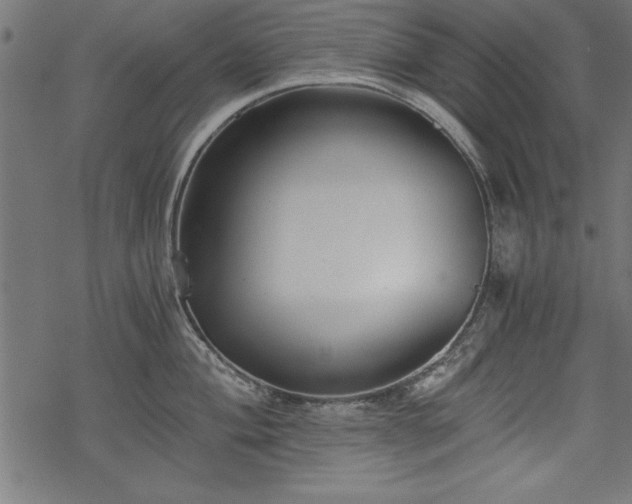 X0000068851004200605081210