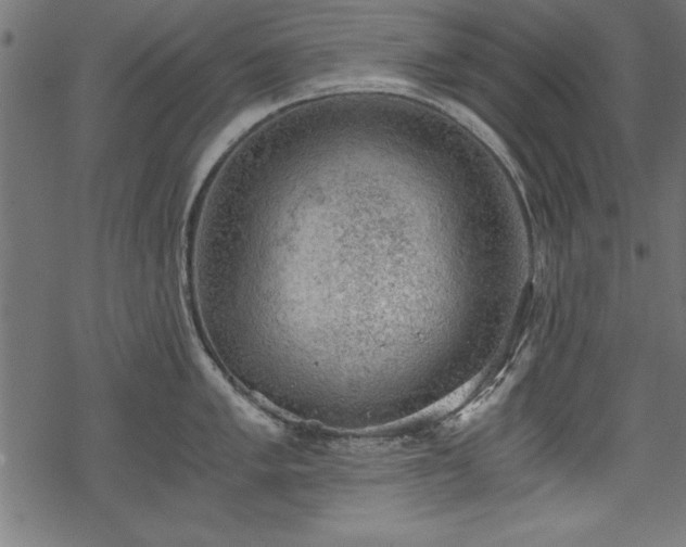 X0000068851005200605081210