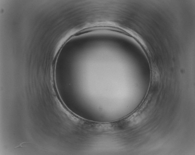 X0000068851006200605081210