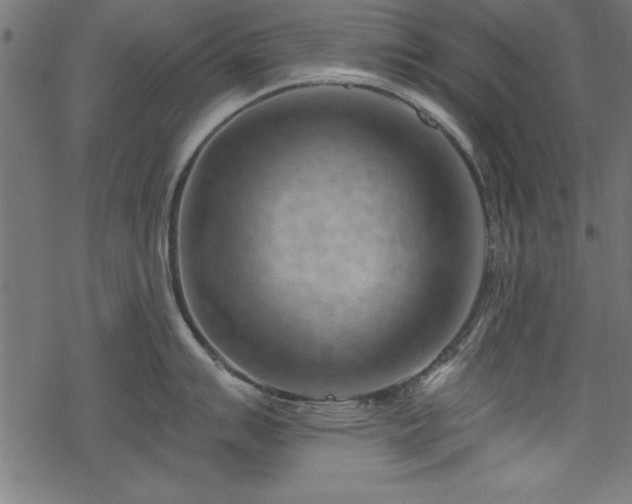 X0000068851007200605081210