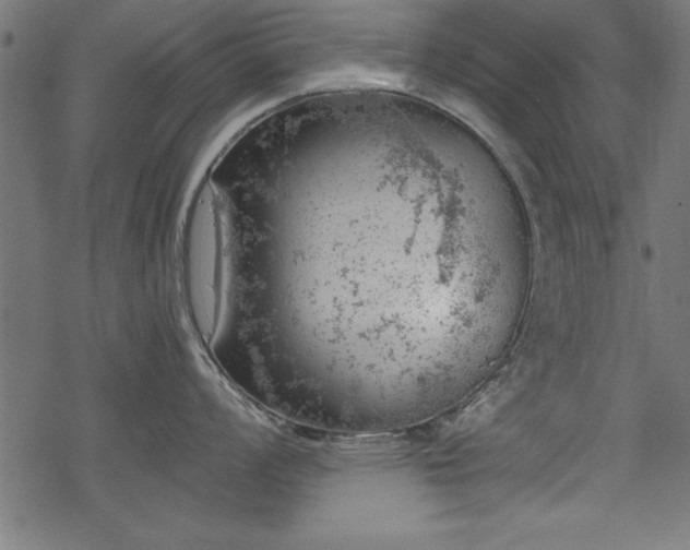 X0000068851008200605081210