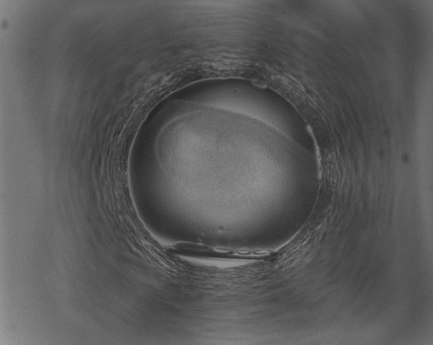 X0000068851009200605081209