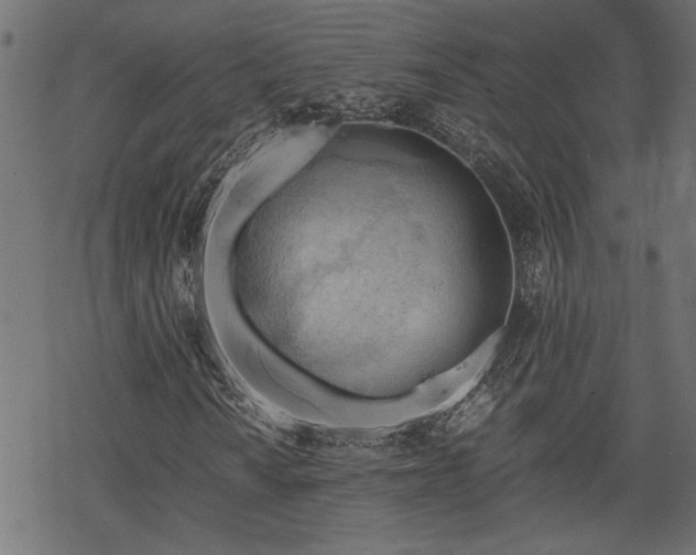 X0000068851010200605081209