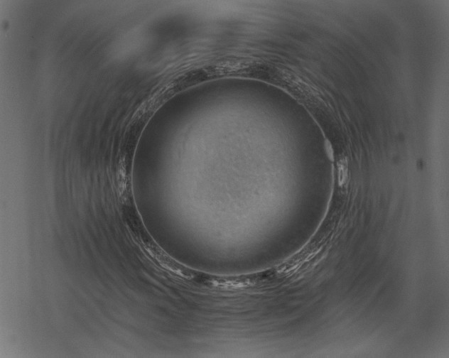 X0000068851011200605081209