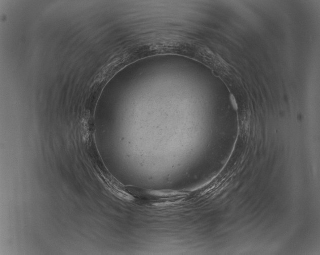 X0000068851012200605081209