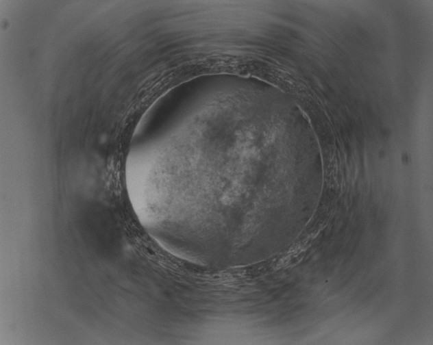 X0000068851013200605081209