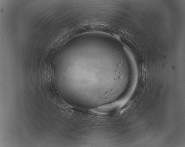 X0000068851014200605081209