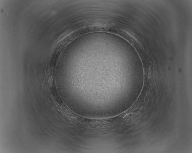 X0000068851015200605081209