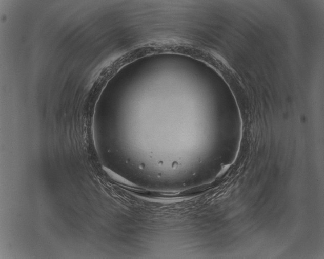 X0000068851016200605081209