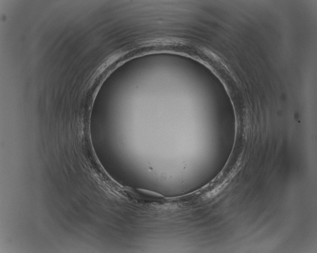 X0000068851017200605081209