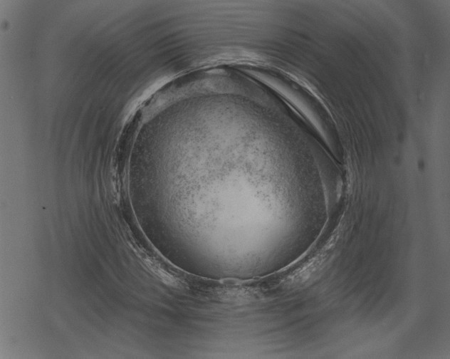 X0000068851018200605081209