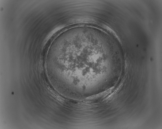 X0000068851019200605081209