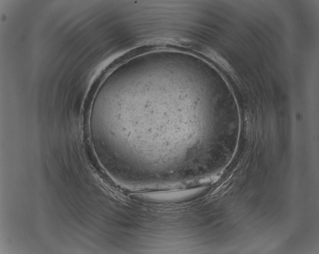 X0000068851020200605081209