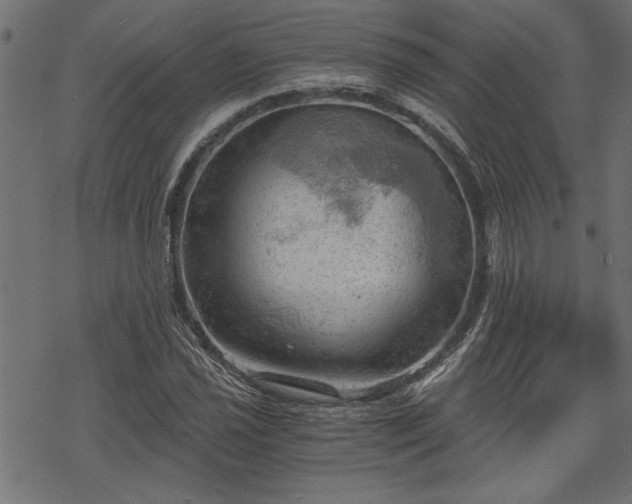 X0000068851021200605081209